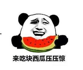 我算命你吃瓜我的功德靠大家免费,共筑瓜田功德路 第3张 我算命你吃瓜我的功德靠大家免费,共筑瓜田功德路 第3张